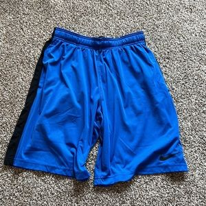 Mens Nike Dri fit shorts